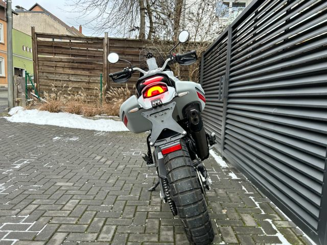 Hauptbild bild 3 DUCATI Desert X Lucky Explorer | Termignoni
