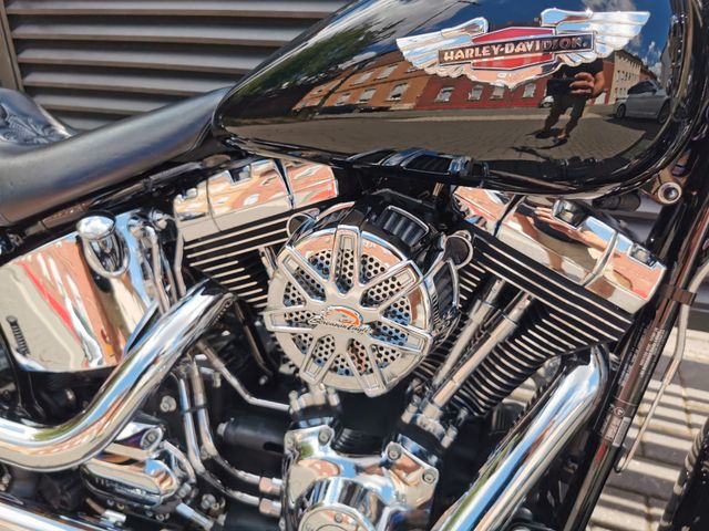 Hauptbild bild 29 HARLEY DAVIDSON FLDE Softail Deluxe 107 | nur 8217 km