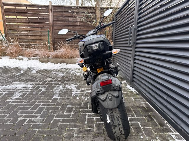 Hauptbild bild 10 YAMAHA MT 09 SP nur 4308 km B2B