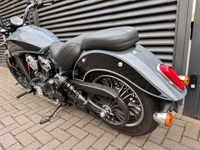 Hauptbild bild 5 INDIAN Scout 1133 ABS nur 9379 km 1.Hand