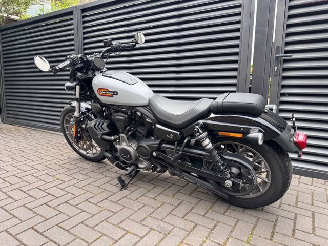 Hauptbild bild 26 HARLEY DAVIDSON Nightster Special 975 nur 3785 km