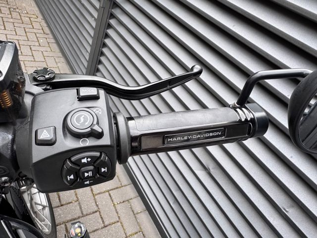 Hauptbild bild 29 HARLEY DAVIDSON Nightster Special 975 nur 3785 km