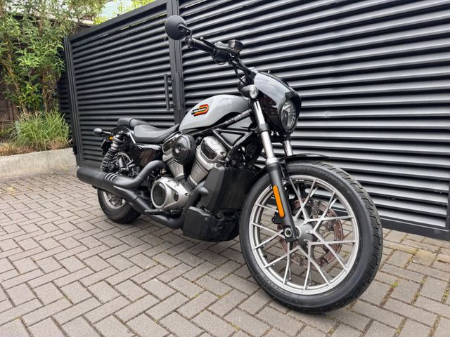 Hauptbild bild 22 HARLEY DAVIDSON Nightster Special 975 nur 3785 km