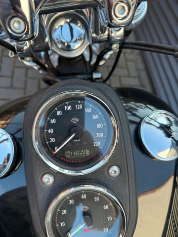 Hauptbild bild 2 HARLEY DAVIDSON FXDL Dyna Low Rider | Miller Auspuff | 1.Hand