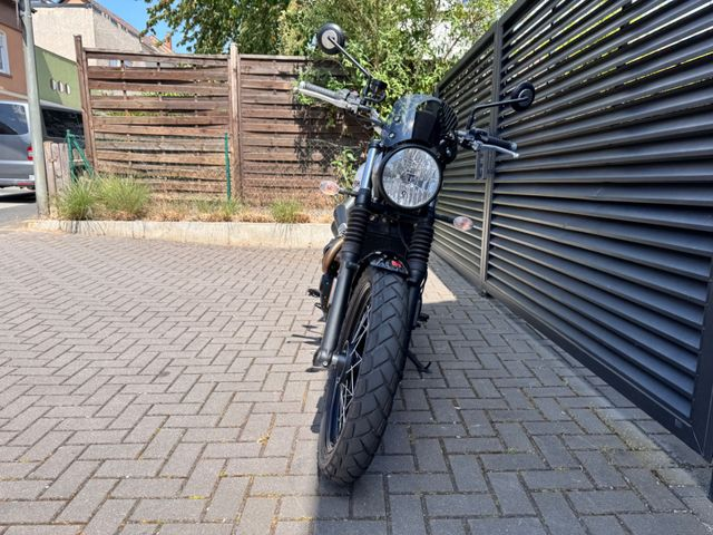 Hauptbild bild 6 TRIUMPH Street Scrambler 900 A2 tauglich