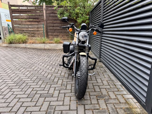 Hauptbild bild 7 HARLEY DAVIDSON XL 883 Iron Sportster | Koffer / Sissybar