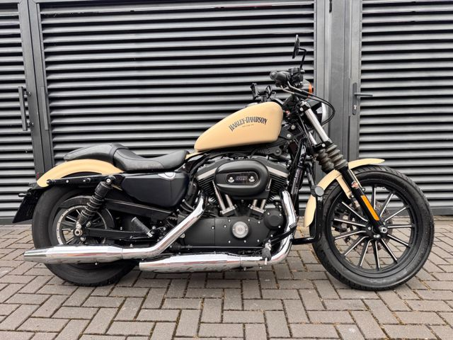 Hauptbild bild 5 HARLEY DAVIDSON XL 883 Iron Sportster | Koffer / Sissybar