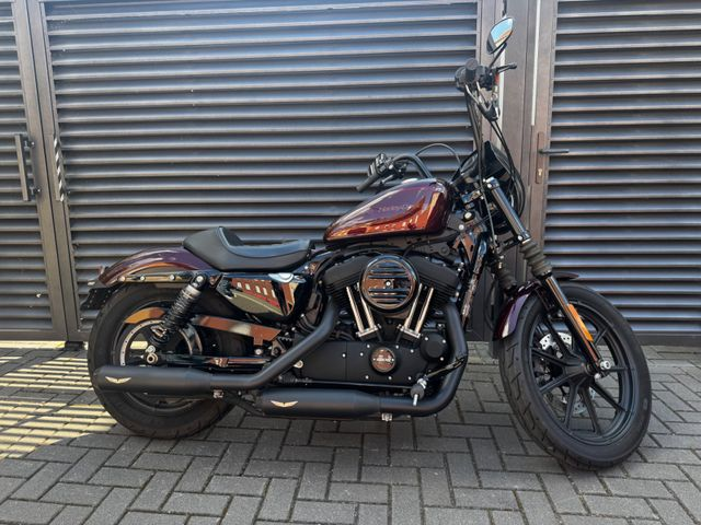 Hauptbild bild 66 HARLEY DAVIDSON XL 1200 IRON nur 9336 km | PENZL