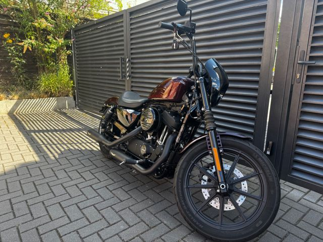 Hauptbild bild 82 HARLEY DAVIDSON XL 1200 IRON nur 9336 km | PENZL