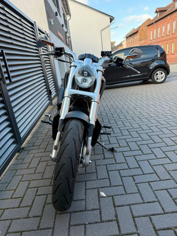 Hauptbild bild 31 HARLEY DAVIDSON V- Rod Muscle| VRSCF | NLC 2in2
