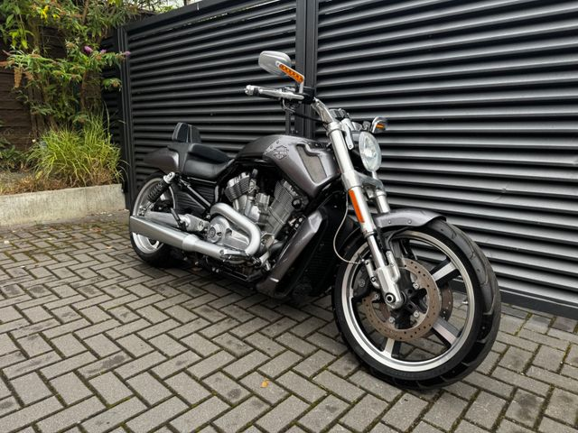 Hauptbild bild 36 HARLEY DAVIDSON VRSCF V-rod Muscle nur 8500 km | V&H Auspuff