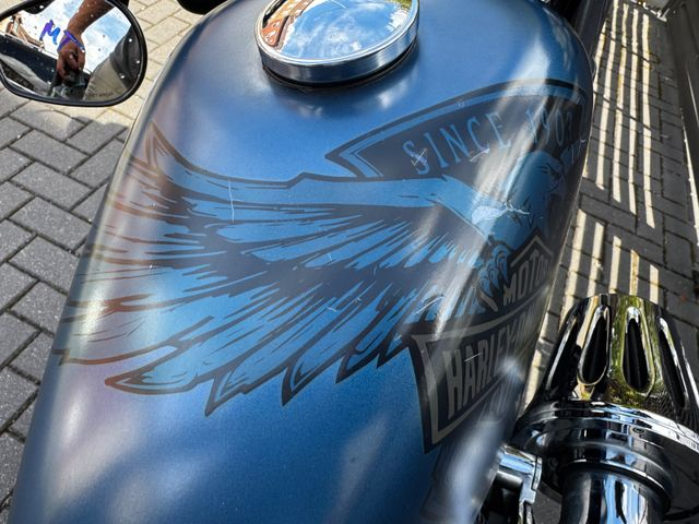 Hauptbild bild 36 HARLEY DAVIDSON Sportster XL1200 48 115 th | V&H |screamin eagle
