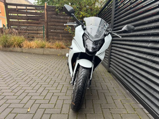 Hauptbild bild 5 HONDA CBR650 FA nur 10568 km
