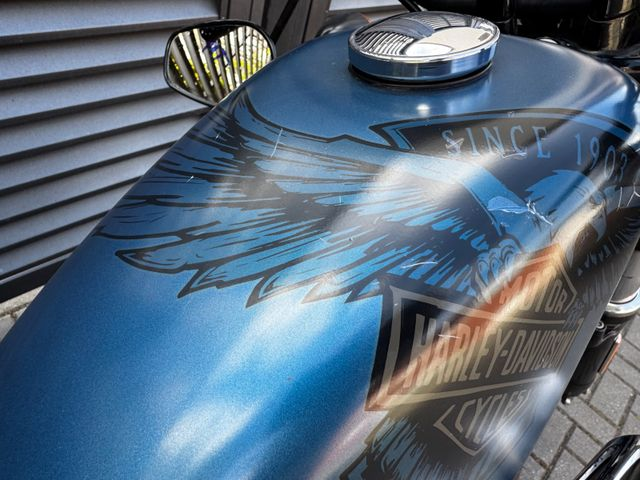Hauptbild bild 11 HARLEY DAVIDSON Sportster XL1200 48 115 th | V&H |screamin eagle