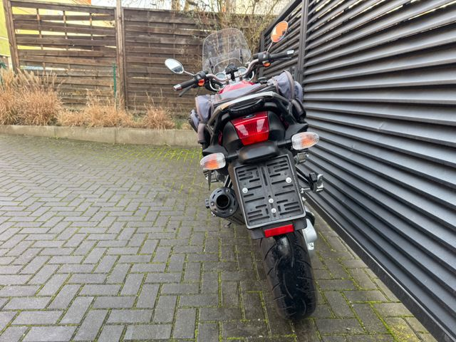 Hauptbild bild 9 BMW R850R nur 24221 km