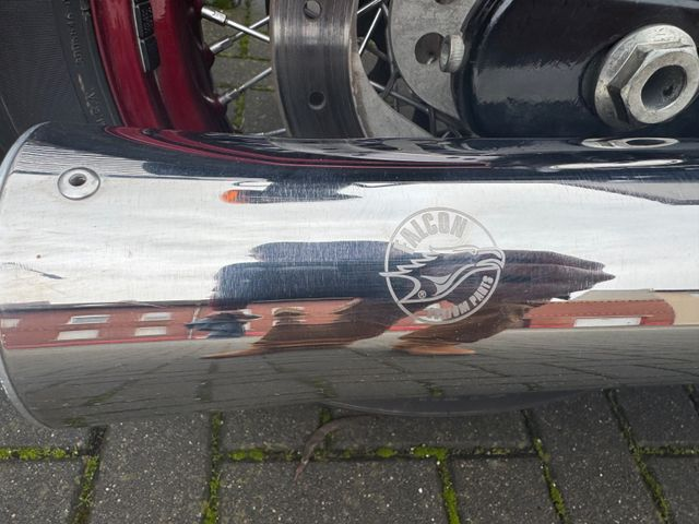 Hauptbild bild 8 HARLEY DAVIDSON FXDBA Dyna Street BOB Special | Falcon | 180er