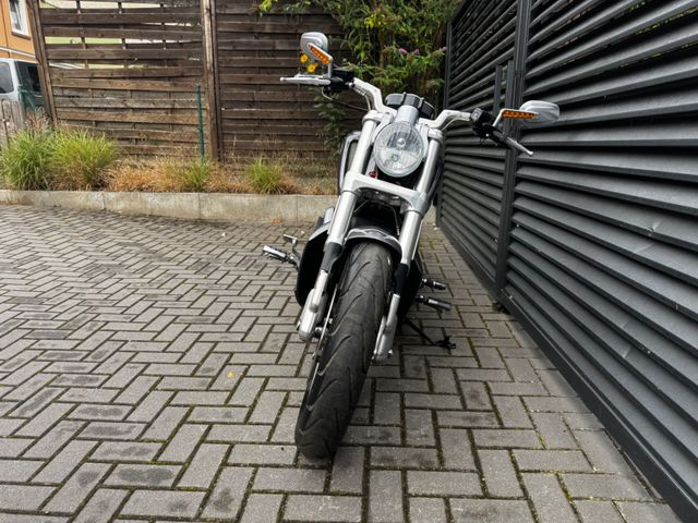 Hauptbild bild 24 HARLEY DAVIDSON VRSCF V-rod Muscle nur 8500 km | V&H Auspuff