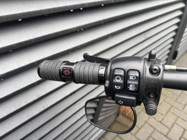 Hauptbild bild 15 HARLEY DAVIDSON Fat Bob 114  nur 2748 km | J&H | Erstbesitz