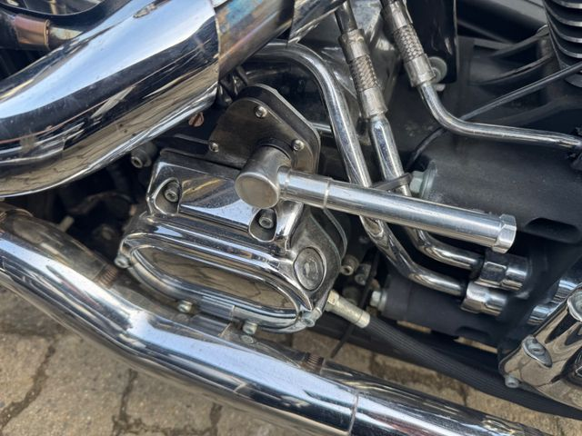 Hauptbild bild 7 HARLEY DAVIDSON FLSTF 100 th anniversary SANDY Boot