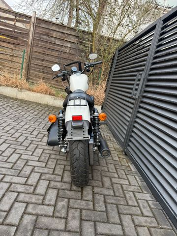 Hauptbild bild 3 HARLEY DAVIDSON Iron 883| Kesstech