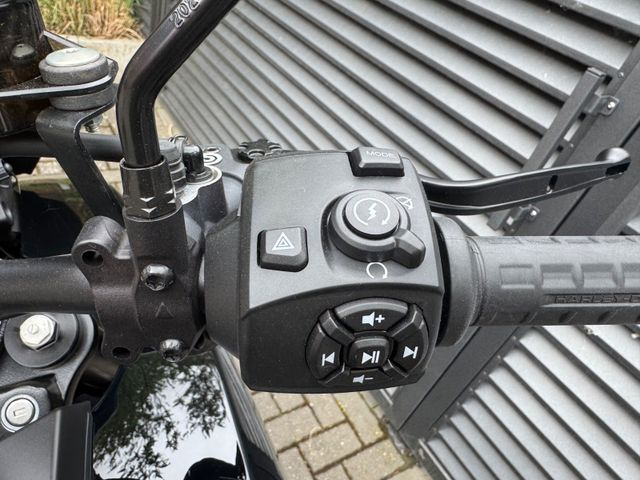 Hauptbild bild 10 HARLEY DAVIDSON Pan America 1250 ST nur 326km NEU