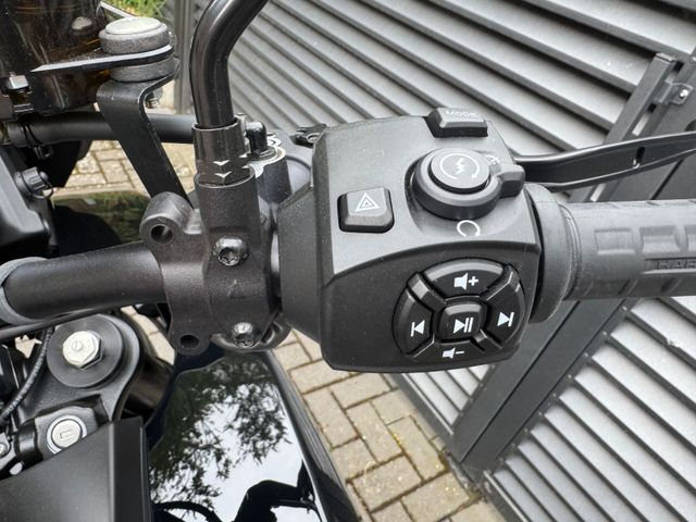 Hauptbild bild 14 HARLEY DAVIDSON Pan America 1250 ST nur 326km NEU