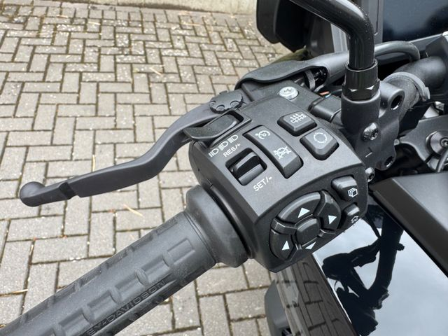 Hauptbild bild 15 HARLEY DAVIDSON Pan America 1250 ST nur 326km NEU