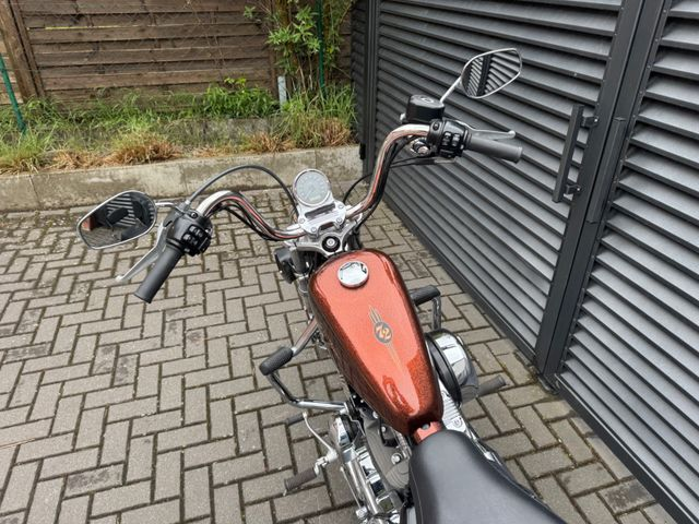 Hauptbild bild 8 HARLEY DAVIDSON XL1200V 72 Sportster | Sporty | seventytwo